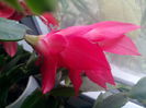 IMG_20141225_094027