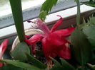 IMG_20141227_130611