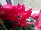 IMG_20141227_130653