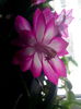 IMG_20150101_105121