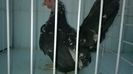 WP_20140805_058
