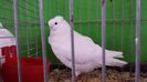 20150111_110425