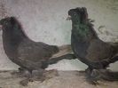 IMG-20141116-01189