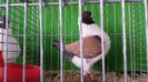 20150111_113750