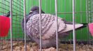 20150111_114142