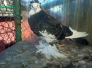 IMG-20141214-01264