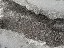 DSC04646