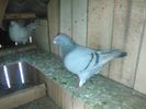 IMG_20150111_135948