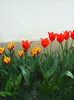 Photo0011