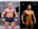 batista2-500x375