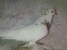 IMG-20141116-01182