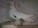IMG-20141116-01180