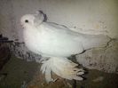 IMG-20141026-01137
