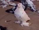 IMG-20141011-00956