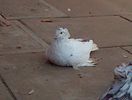 IMG-20141011-00993