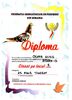 Diploma 3 As Fond Tineret Mehedinti 2014