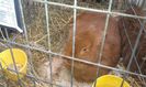 IMAG0257