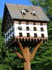 stylish_pigeon_house_by_tantetabata-d6nozhq