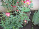 Bukavu 2014.05.28 (4)