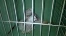 WP_20140806_046