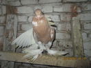 Picture 007
