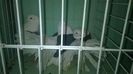 WP_20140806_409