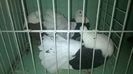 WP_20140806_412