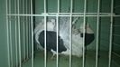 WP_20140806_417