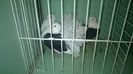 WP_20140806_419