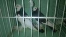 WP_20140806_125