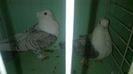 WP_20140806_176