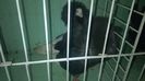 WP_20140806_167