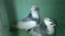 WP_20140806_150