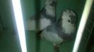 WP_20140806_152