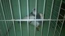 WP_20140806_153