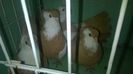 WP_20140806_193