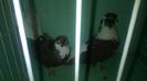 WP_20140806_144