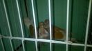 WP_20140806_048