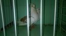 WP_20140806_055