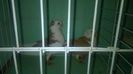 WP_20140806_056
