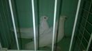 WP_20140806_206