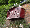 2773658-publimedia-shutters
