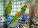 DSCN0077