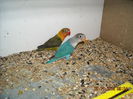 DSCN0080