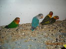 DSCN0082
