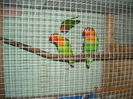 DSCN0085