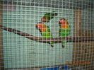 DSCN0086