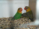 DSCN0089