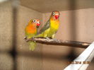 DSCN0097