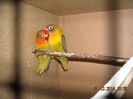 DSCN0098